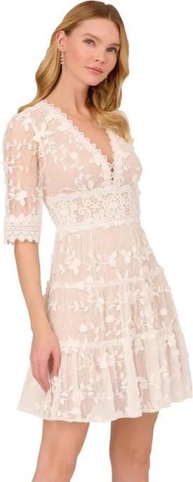 Adrianna Papell Women's Lace Embroidery Dress