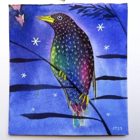 Starling and night sky